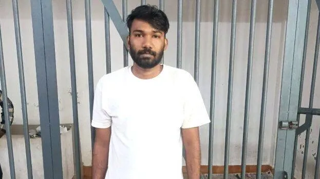 shinaj
