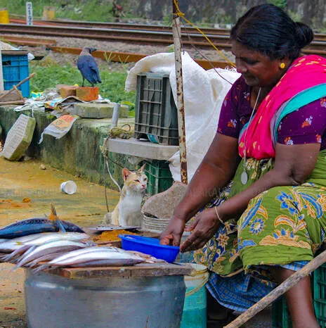 Kerala Kaumudi Photo Gallery