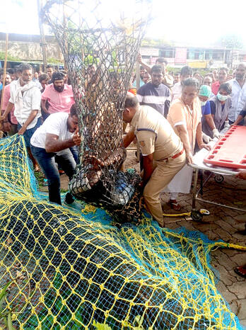 hospital-accident-paravur hospital-accident-paravur