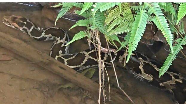 kothamangalam kothamangalam