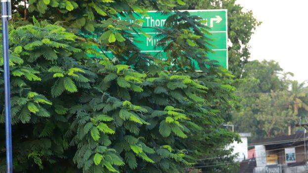 sign-board sign-board