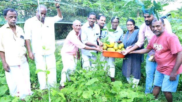 sayojichakrishi sayojichakrishi