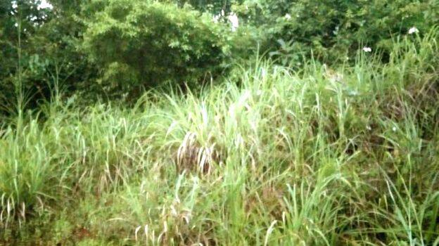 kunnamangalamnews kunnamangalamnews