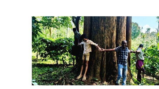 veetimaram veetimaram