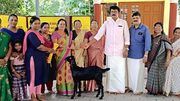 attinkuty- attinkuty-