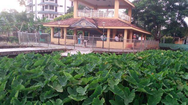 kacehrikadvu kacehrikadvu