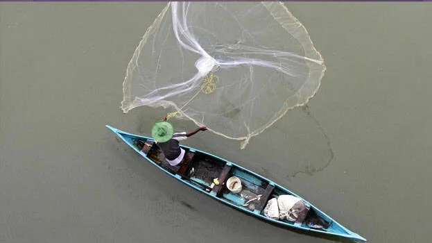 fishing