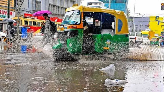 rain