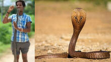 telangana-man-dies-after-putting-cobra’s-head-inside-mouth-to-be-famous