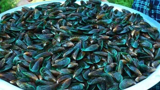 kallummekka kallummekka