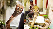 kaumudy-tv-snake-master-viral-episode