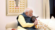 pm-modi-invites-new-member-at-house-a-calf-named-deepjyoti