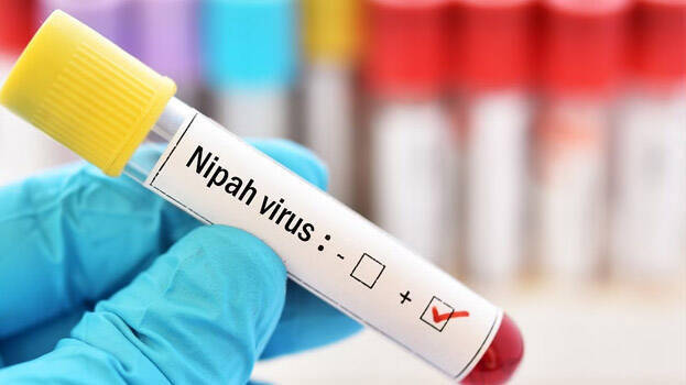 nipah nipah