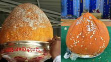 telangana-ganesh-laddu-auction