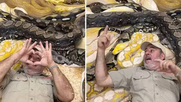 celebration celebration