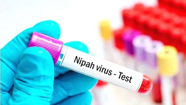 nipah