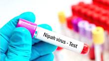 nipah