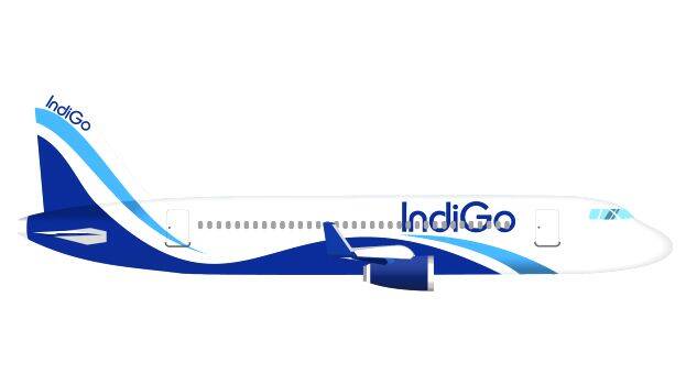 indigo-plane indigo-plane