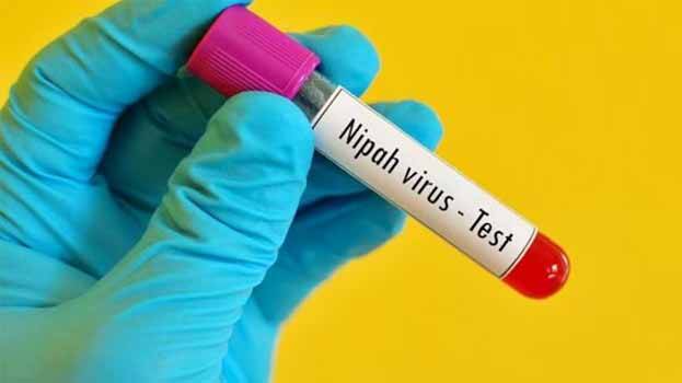 nipah- nipah-