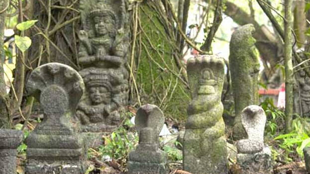 sarpa-dosha sarpa-dosha