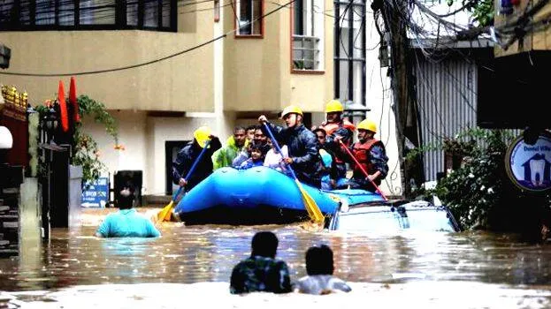pic pic