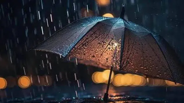 rain