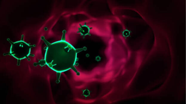 marburg-virus marburg-virus