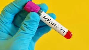 nipah