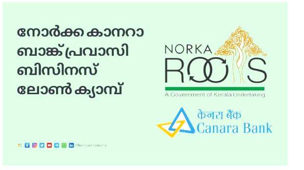 norka-roots norka-roots