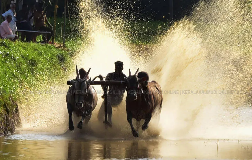 kanuthali