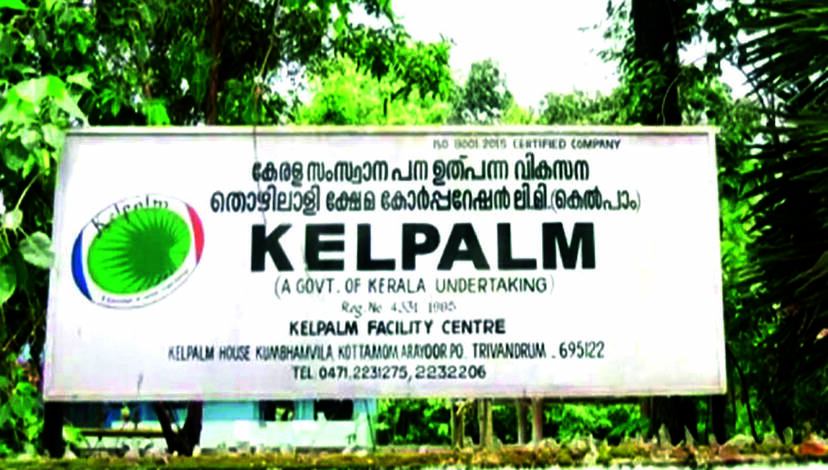 kelpalm