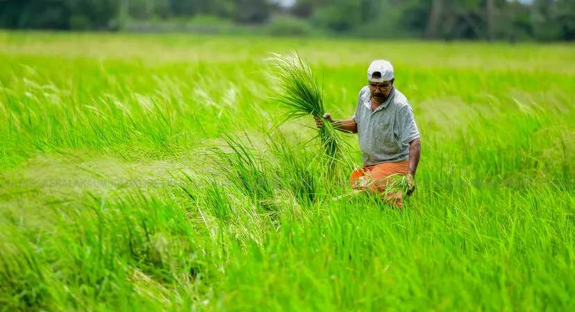 varikuttanad