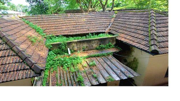 pandalam-tress pandalam-tress