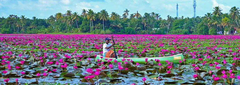 Kerala Kaumudi Photo Gallery