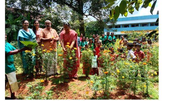 14-jandumalli 14-jandumalli