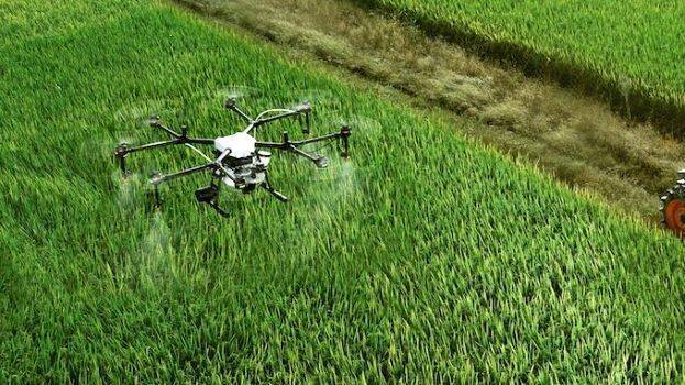 smart-farm smart-farm