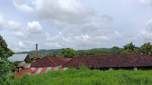 madavur-cashewfactory madavur-cashewfactory