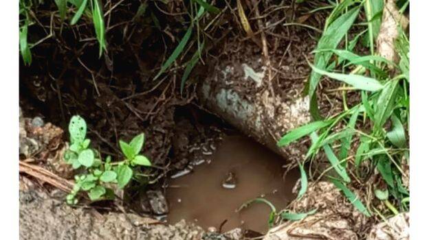 palathile-villal palathile-villal