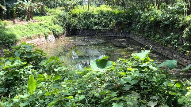 madankavu-kulam