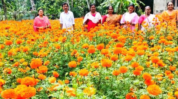 bandipookkal bandipookkal