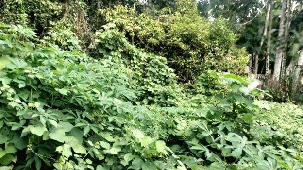 kaat-mootiya-nilayil kaat-mootiya-nilayil