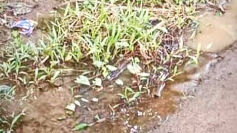 paip-potti paip-potti