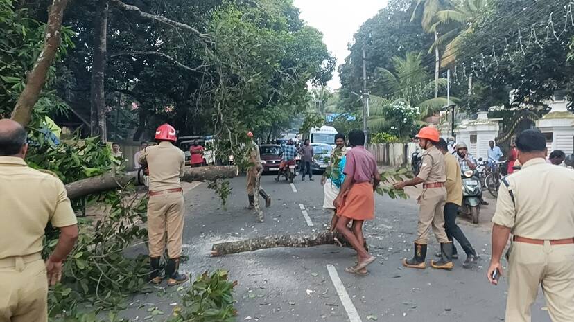 maram-murikkunnu maram-murikkunnu