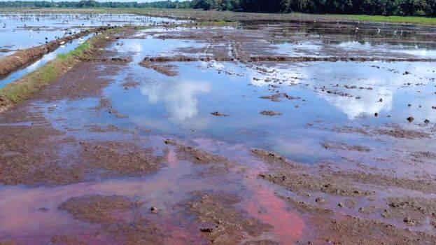 patashekharam patashekharam