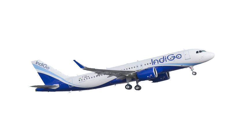 indigo indigo