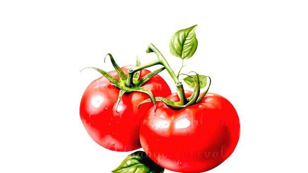 tomati