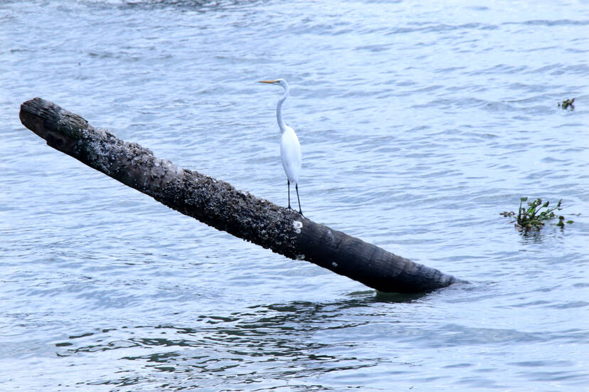 Kerala Kaumudi Photo Gallery