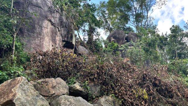 soclalissu soclalissu