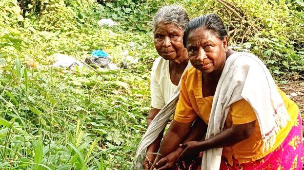 socialissu socialissu