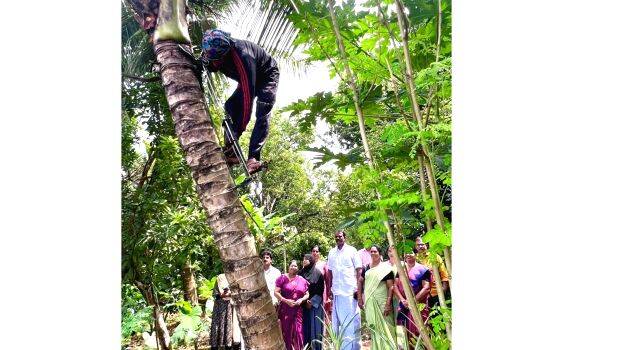 manjalloor manjalloor